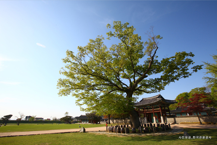 관광지이미지 7