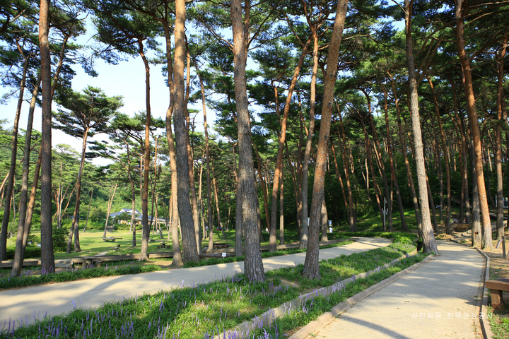 관광지이미지 6