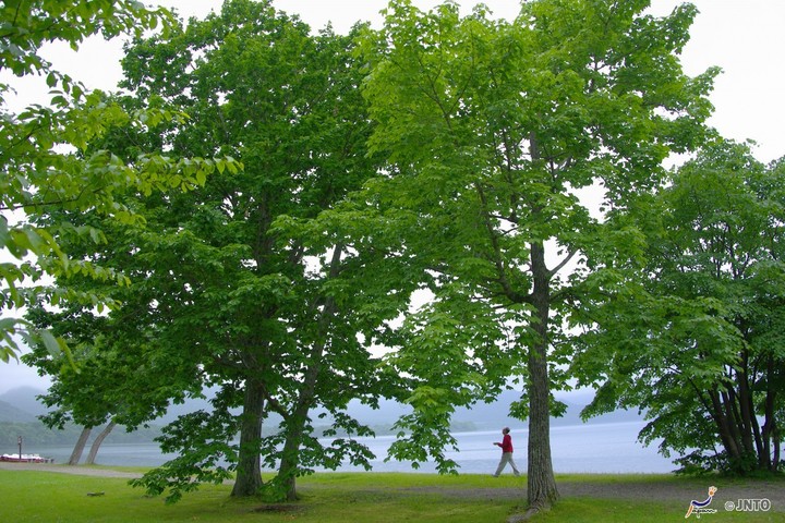 관광지이미지 2