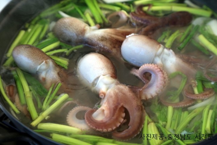 관광지이미지 3