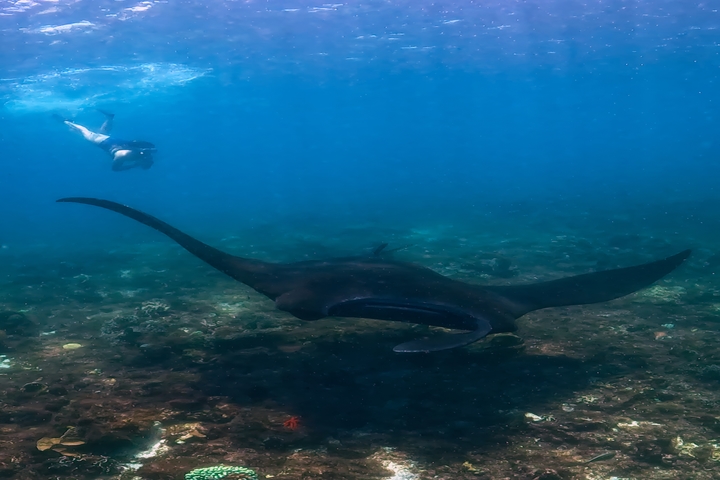 관광지이미지 2