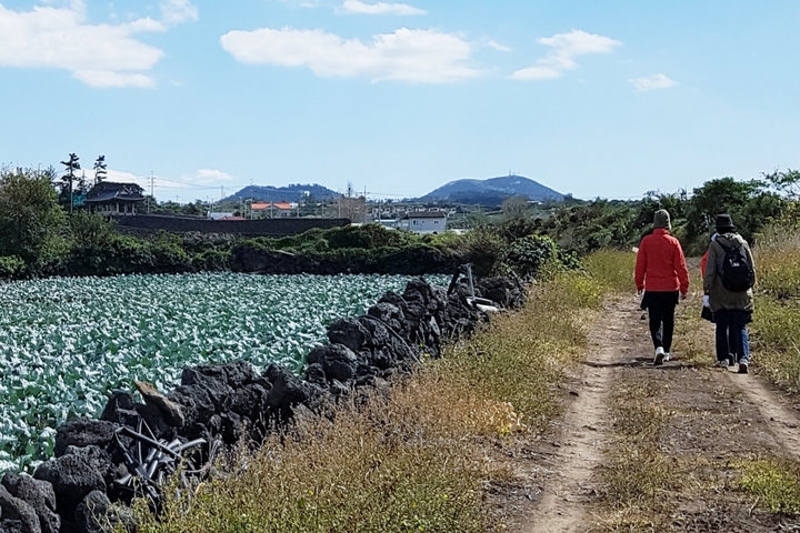 관광지이미지 13