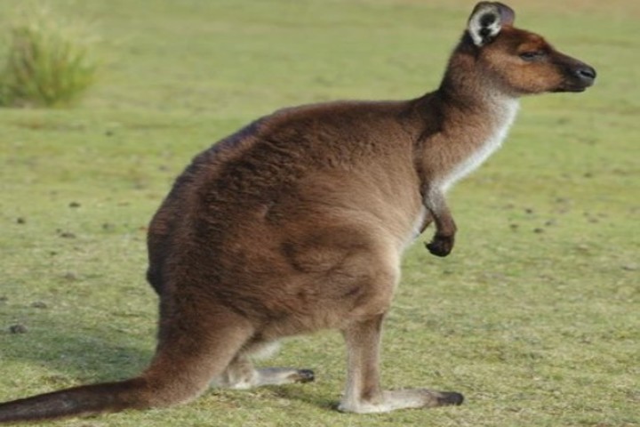 관광지이미지 6