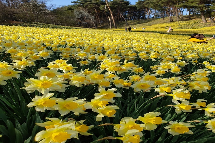 관광지이미지 1