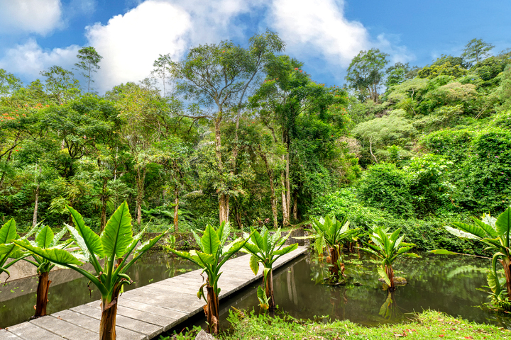 관광지이미지 17