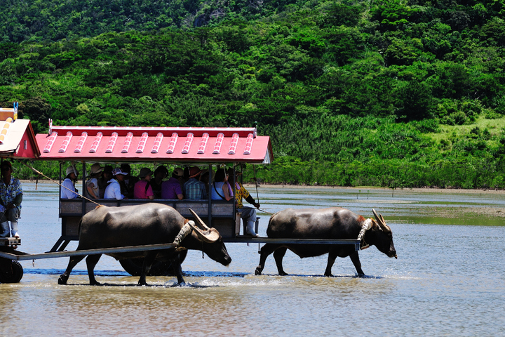 관광지이미지 8