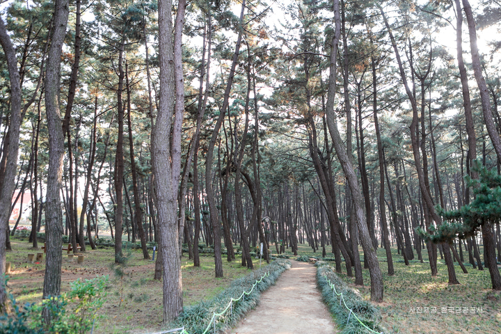 관광지이미지 6