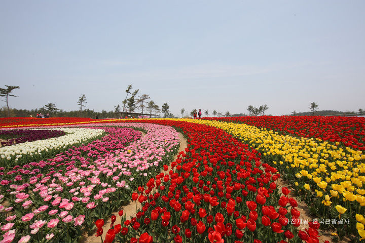 관광지이미지 1