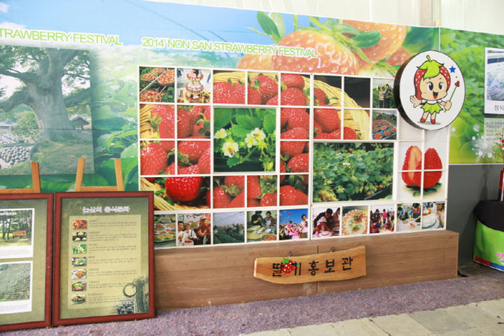 관광지이미지 5