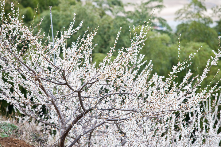 관광지이미지 1