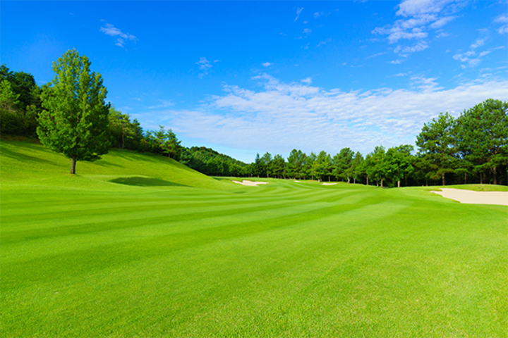 관광지이미지 1