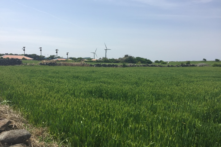 관광지이미지 1